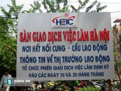 Bức tranh của dạy nghề và học nghề 2016.